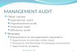Management audit sako