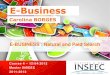 E BUSINESS course 4 - INSEEC 2011/12