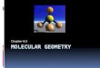 Chapter 6.5 : Molecular Geometry