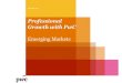 PwC: What private companies should know about emerging markets