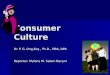 Consumer culture report mylene salem bacani