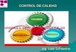 CONTROL DE CALIDAD UNIDAD I: CONCEPTOS BÁSICOS DE CALIDAD CALIDAD Ing. Luis Schiavino Ing. Luis Schiavino