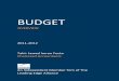 Tjif Budget Overview 2011