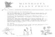 Spring 1987 Minnesota Plant Press