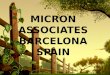 Micron associates barcelona spain
