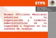 1 Normas Oficiales Mexicanas relativas a la organización y trámites administrativos de la seguridad e higiene en los centros de trabajo Normas Oficiales