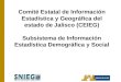 Comité Estatal de Información Estadística y Geográfica del estado de Jalisco (CEIEG) Subsistema de Información Estadística Demográfica y Social