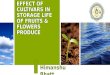 effect of cultivars on storage life of fruits and flowers