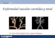 Enfermedad vascular carotídea y renal Dr. Óscar Prada Delgado Tutor: Ignacio Mosquera