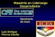 Maestría en Liderazgo Desarrollador Seminario de tesis Luis Enrique Fierros Dávila