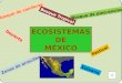ECOSISTEMASDEMÉXICO Bosque de coníferas Bosque de pino-encino Bosque Tropical Desierto Pastizal Estuario Zonas de arrecifes