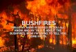 Bush Fire Talk