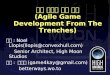 실전 애자일 게임 개발 (Agile Game Agile Game Development From The Trenches)