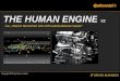 The Human Engine V02.0