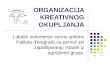 Lokalni volonterski servis optine Palilula - Zoran Zlatkovic