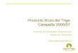 Producto Bruto del Trigo Campaña 2006/07 Instituto de Estudios Económicos Bolsa de Cereales Para ARGENTRIGO