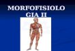 MORFOFISIOLOGIA II. Generalidades del cuerpo humano y del sistema osteomioarticular 1.1. Posición del hombre en la Naturaleza Lucha entre: El Idealismo