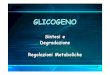 Med lez 7 glicogeno