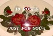 10 roses by-h_uddin