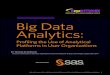 Big Data analytics usage