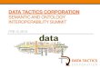 Data Tactics Semantic and Interoperability Summit Feb 12, 2013