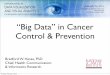 Big Data in Cancer Control