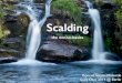 Scalding - the not-so-basics @ ScalaDays 2014