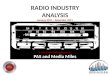 Pakistan Radio Industry Report 2011