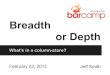 Breadth or Depth: What's in a column-store?