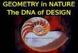 Geometry in Nature - the DNA of Design for kitchens and bathrooms; art, painting, architecture, sculpture, photography , graphic art, advertising