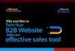 Why and How to Turn Your B2B Website into an Effective Sales Tool