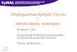 Welsh library strategies