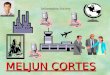 MELJUN CORTES CSC 15 Intro. to Information System