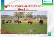 IFPRI 2020 Panel Discussion "Understanding the Interactions Between Agriculture & Health"