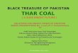 Thar Coal, A Black Treasure OF Pakistan ( Series of Presentations, (No. 2/17)
