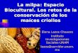 La milpa: Espacio Biocultural. Los retos de la conservación de los maíces criollos Elena Lazos Chavero Instituto Investigaciones Sociales-UNAM lazos@servidor.unam.mx