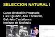 SELECCION NATURAL I Curso Evolución Posgrado Luis Eguiarte, Ana Escalante, Gabriela Castellanos Instituto de Ecología