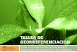 1 TALLER DE GEORREFERENCIACIÓN Sesión 4. Georreferenciación de datos biológicos Responsables: Natalia Valderrama y Rubén Albarracín