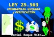 LEY 25.563 EMERGENCIA, QUIEBRA y PESIFICACIÓN Daniel Roque Vítolo