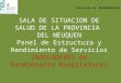 SALA DE SITUACION DE SALUD DE LA PROVINCIA DEL NEUQUEN Panel de Estructura y Rendimiento de Servicios INDICADORES de Rendimiento Hospitalario Dirección