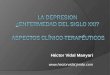 Héctor Vidal Manyari . CONTENIDO 1. Las principales manifestaciones clínicas. 2. La multicausalidad: condiciones médicas y psiquiátricas