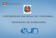 Universidad Nacional de Colombia Dirección de Bienestar Sede UNIVERSIDAD NACIONAL DE COLOMBIA PROGRAMA DE EGRESADOS 1
