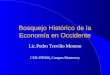 Bosquejo Histórico de la Economía en Occidente Lic.Pedro Treviño Moreno CEH-ITESM, Campus Monterrey