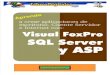 Visual FoxPro SQL Server y ASP - Programación multiusuario