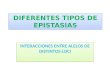 DIFERENTES TIPOS DE EPISTASIAS INTERACCIONES ENTRE ALELOS DE DISTINTOS LOCI