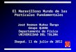 El Maravilloso Mundo de las Partículas Fundamentales José Herman Muñoz Ñungo Grupo QUARK Departamento de Física UNIVERSIDAD DEL TOLIMA Ibagué, 11 de julio