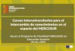 Cursos interuniversitarios para el intercambio de conocimientos en el espacio del MERCOSUR Apoyo al Programa de Movilidad MERCOSUR en Educación Superior