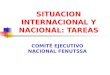 SITUACION INTERNACIONAL Y NACIONAL: TAREAS COMITÉ EJECUTIVO NACIONAL FENUTSSA