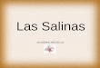 Las Salinas ACADEMIA ARGÜELLO. Las Salinas están ubicadas al noroeste de la provincia de Córdoba. Estas se dividen en Salinas Grandes y Salinas de Ambargasta