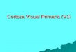 Corteza Visual Primaria (V1). Curva de afinación a la orientación Estímulos óptimos y no óptimos DA, Figs 1.5 & 2.11